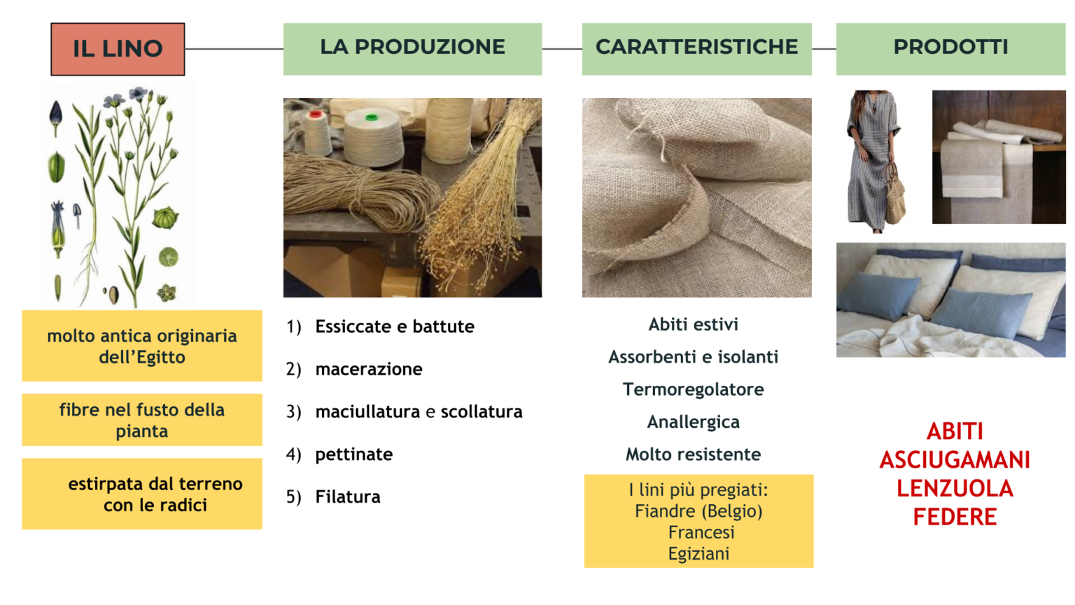 Fibre tessili vegetali - videolezione - tecnologiaduepuntozero